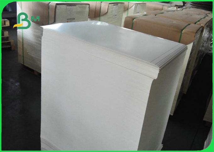 300gsm + 15gPE Biodegradable Food Container Cardboard 100% Harmless