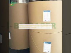 Bản giấy Kinh Thánh màu trắng của thiên nhiên Biodegradable và thân thiện với môi trường