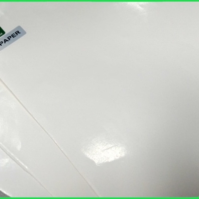 300gr 350gr PE Tấm giấy Kraft trắng có thể chịu nhiệt cho môi trường cho CUp