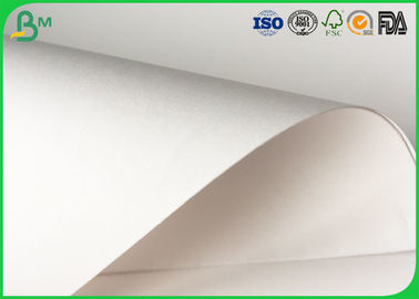80gsm - 140gsm Màu trắng cấp thực phẩm giấy cuộn bề mặt mịn màng cho khay thực phẩm pallet