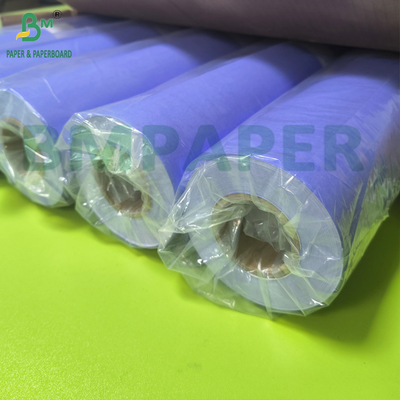 Một mặt giấy biểu đồ màu xanh lá cây bản thiết kế kiến trúc giấy vẽ cuộn