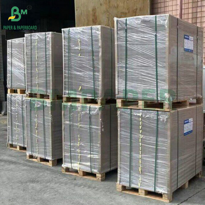 Xốp giấy cứng màu trắng màu xám màu trắng màu trắng màu trắng màu trắng màu trắng màu trắng màu trắng màu trắng màu đen màu đen màu xanh lá cây màu xanh lá cây màu xanh lá cây màu xanh lá cây màu xanh lá cây màu xanh lá cây màu xanh lá cây màu xanh lá cây màu xanh lá cây màu xanh lá cây màu xanh lá cây màu xanh lá cây màu xanh lá cây màu xanh lá cây màu xanh lá cây màu xanh lá cây màu xanh lá cây màu xanh lá cây màu xanh lá cây màu xanh lá cây màu xanh lá cây màu xanh lá cây màu xanh lá cây màu 