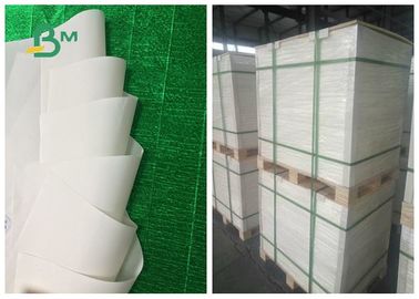 Tái chế có thể phân hủy giấy cuộn Jumbo 200um 250um tùy chỉnh