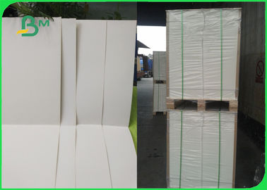 300GSM tẩy trắng các tông giấy cuộn / C1S tráng giấy cho bao bì cao cấp
