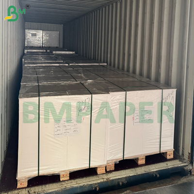 giấy chống mỡ TCF hoàn toàn không chứa clo giấy giấy giấy bếp