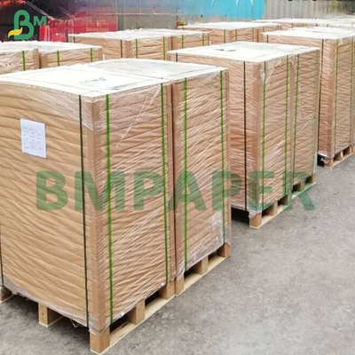 Chất lượng thực phẩm 40gm Chất chống mỡ Bảng giấy nướng bánh nướng màu sắc