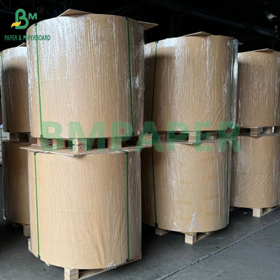 190 /240gsm18PE ốp phủ mat thực phẩm Bảng giấy cốc màu trắng để đóng gói nước / Cà phê