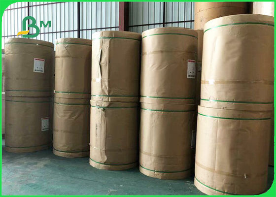 60 - 120 Giấy rơm uống thân thiện với môi trường cho lễ hội Carnival