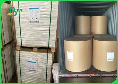 80gsm 100gsm White FSC Woodfree Paper Uncoated For Sách giáo khoa Tùy chỉnh