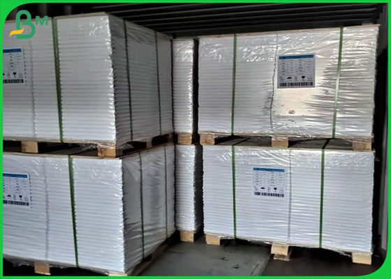 70lb 80lb Trắng In giấy cuộn với chứng nhận FSC