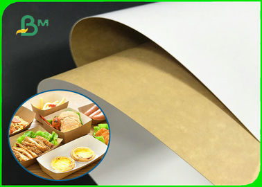 Virgin Wood Pulp 250gsm - Mặt sau bằng giấy trắng 360gsm cho hộp thực phẩm