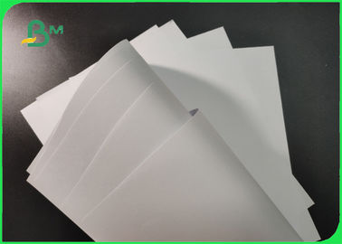 FSC đã phê duyệt 70g 80g cuộn giấy không gỗ trắng cho brochure mịn