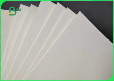 Bột giấy gỗ 170gsm + 15g PE Cupstock Dựa trên giấy cho nhà hàng Độ sáng cao