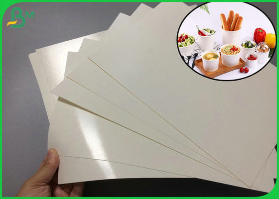 1 mặt chống thấm 240gsm + 15gr PE Giấy tráng PE độ trắng cao cho bát giấy