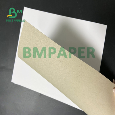 Bề mặt giấy phẳng phủ tấm bảng trắng với lưng màu xám cho bộ lọc vớ