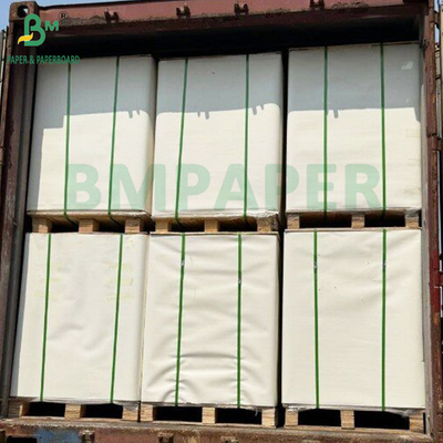 Bảng giấy Bristol trắng &amp; màu không phủ 160g 230g Offset
