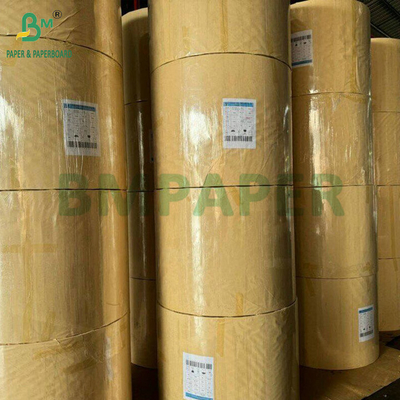 Bột gỗ nguyên thủy 70g 80g 90g Kraft Cement tự nhiên