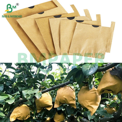 59gm kem chống nắng chống nước mắt trái cây tay giấy nâu trên đen