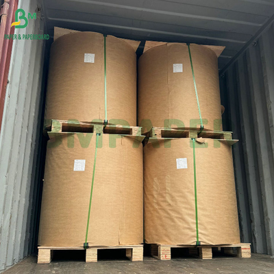Giấy bảo vệ trái cây xoài đen chống mưa và phân hủy sinh học