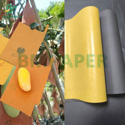 54g 56g Bảng đơn hoặc hai lớp Mango Fruit Growing Protection Cover Bag Paper