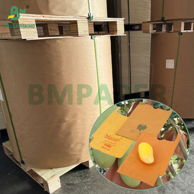 54g 56g Bảng đơn hoặc hai lớp Mango Fruit Growing Protection Cover Bag Paper