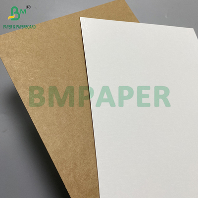 360gr 365gr White Face Kraft Reverse Food Grade Packaging Cardboard 31" 43"