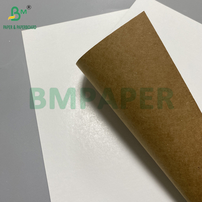 360gr 365gr White Face Kraft Reverse Food Grade Packaging Cardboard 31" 43"