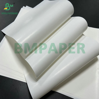 Giấy dán nhãn chai bia một mặt với lớp phủ 65 gram để in 61cm 86cm cuộn lớn