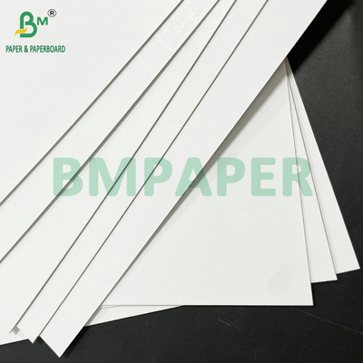 Xốp giấy cứng màu trắng màu xám màu trắng màu trắng màu trắng màu trắng màu trắng màu trắng màu trắng màu trắng màu đen màu đen màu xanh lá cây màu xanh lá cây màu xanh lá cây màu xanh lá cây màu xanh lá cây màu xanh lá cây màu xanh lá cây màu xanh lá cây màu xanh lá cây màu xanh lá cây màu xanh lá cây màu xanh lá cây màu xanh lá cây màu xanh lá cây màu xanh lá cây màu xanh lá cây màu xanh lá cây màu xanh lá cây màu xanh lá cây màu xanh lá cây màu xanh lá cây màu xanh lá cây màu xanh lá cây màu 