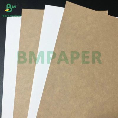 270gm 300gm White Clay Coated CCK Paperboard cho hộp đóng gói thực phẩm