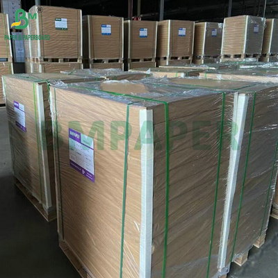300gm 350gm SBS Solid Bleach Sulphate để làm hộp gấp