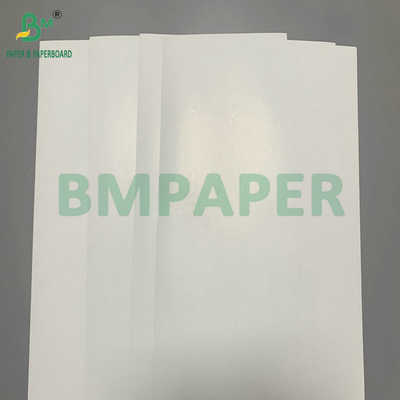 300gm 350gm SBS Solid Bleach Sulphate để làm hộp gấp
