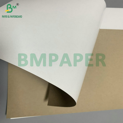 300gm 350gm SBS Solid Bleach Sulphate để làm hộp gấp