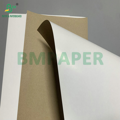 300gm 350gm SBS Solid Bleach Sulphate để làm hộp gấp