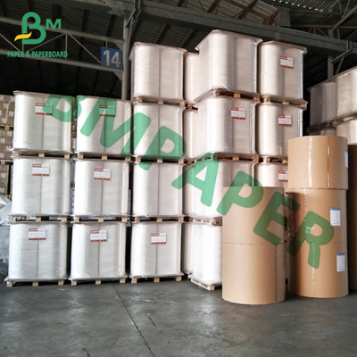 Tấm bọc trắng không phủ giấy kraft tẩy trắng cho túi giấy