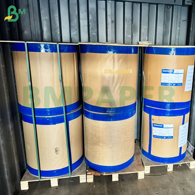 giấy chống mỡ TCF hoàn toàn không chứa clo giấy giấy giấy bếp