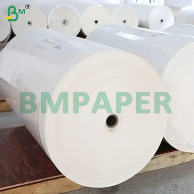 50 GSM Không có mùi Kháng nhiệt Bảng giấy lọc cà phê