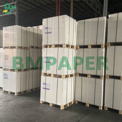 50 GSM Không có mùi Kháng nhiệt Bảng giấy lọc cà phê