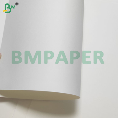 135-350 GSM Bảng giấy chống nước phủ PE có kích thước kép cho cốc và bát