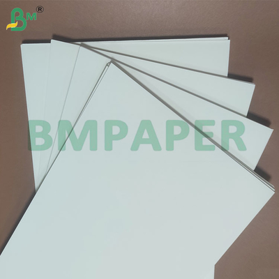 135-350 GSM Bảng giấy chống nước phủ PE có kích thước kép cho cốc và bát