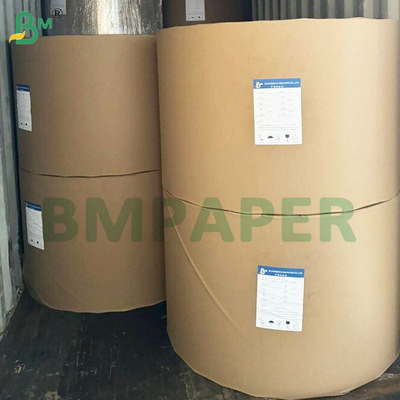 135-350 GSM Bảng giấy chống nước phủ PE có kích thước kép cho cốc và bát