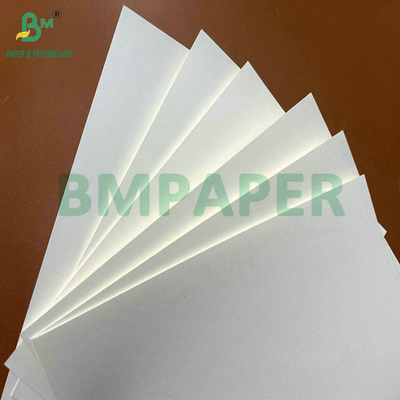 31 inch 35 inch 230gram 260gram PE phủ giấy cuộn cho ly cà phê