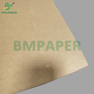 Thức ăn lớp Kraft 320gsm + 20g PE phủ giấy cho ly cà phê lớn 900mm