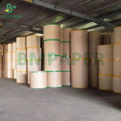 Thức ăn lớp Kraft 320gsm + 20g PE phủ giấy cho ly cà phê lớn 900mm