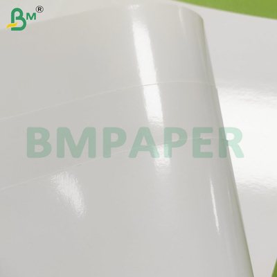 260 GSM Bảng giấy đông lạnh phủ PE chống ẩm loại thực phẩm