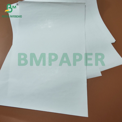 Jumbo Roll High Bulk 65gsm 90um giấy nhiệt cho nhãn logistics 600mm