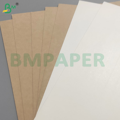 Bảng giấy PE phủ lớp đáy cốc chống nhiệt và lạnh