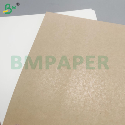 Bảng giấy PE phủ lớp đáy cốc chống nhiệt và lạnh