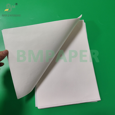 50gm 328mm 500mm Màu trắng và nâu giấy lọc cà phê giấy cuộn chất lượng thực phẩm