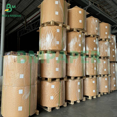 50gm 328mm Bạch và không bạch giấy lọc cà phê cấp thực phẩm